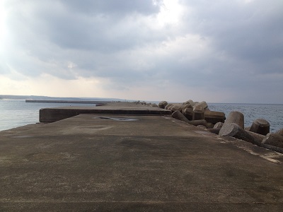 Tanegashima Japan Fishing Nakatane West Coast Pier Number 2 Close Up