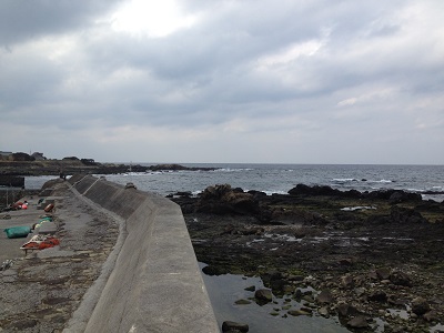 Fishing Nishinoomote West Coast Pier Number 10 South View