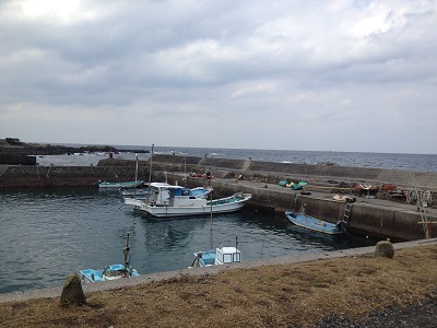 Fishing Nishinoomote West Coast Pier Number 10