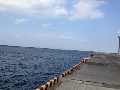 Fishing Nishinoomote West Coast Pier Number 7 North View