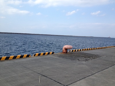 Fishing Nishinoomote West Coast Pier Number 7