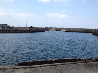 Fishing Nishinoomote West Coast Pier Number 8