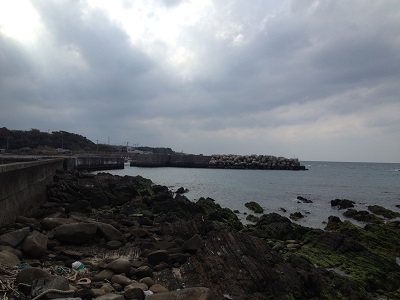 Fishing Nishinoomote West Coast Pier Number 9 South View
