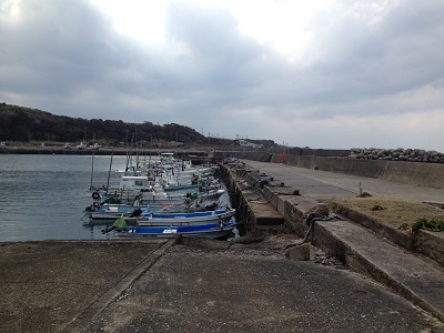 Fishing Nishinoomote West Coast Pier Number 9
